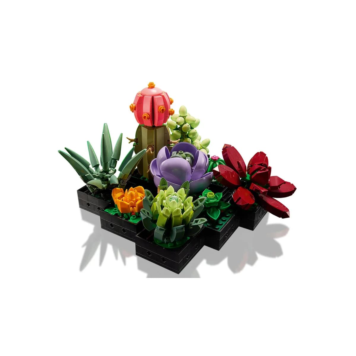LEGO® Creator 3w1™ 10309 Icons Sukulenty, zdjęcie 3