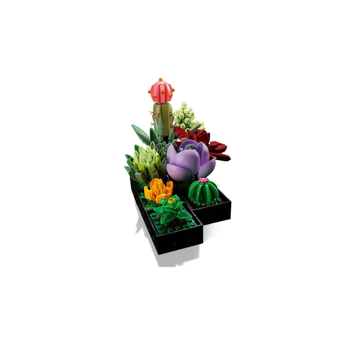 LEGO® Creator 3w1™ 10309 Icons Sukulenty, zdjęcie 4