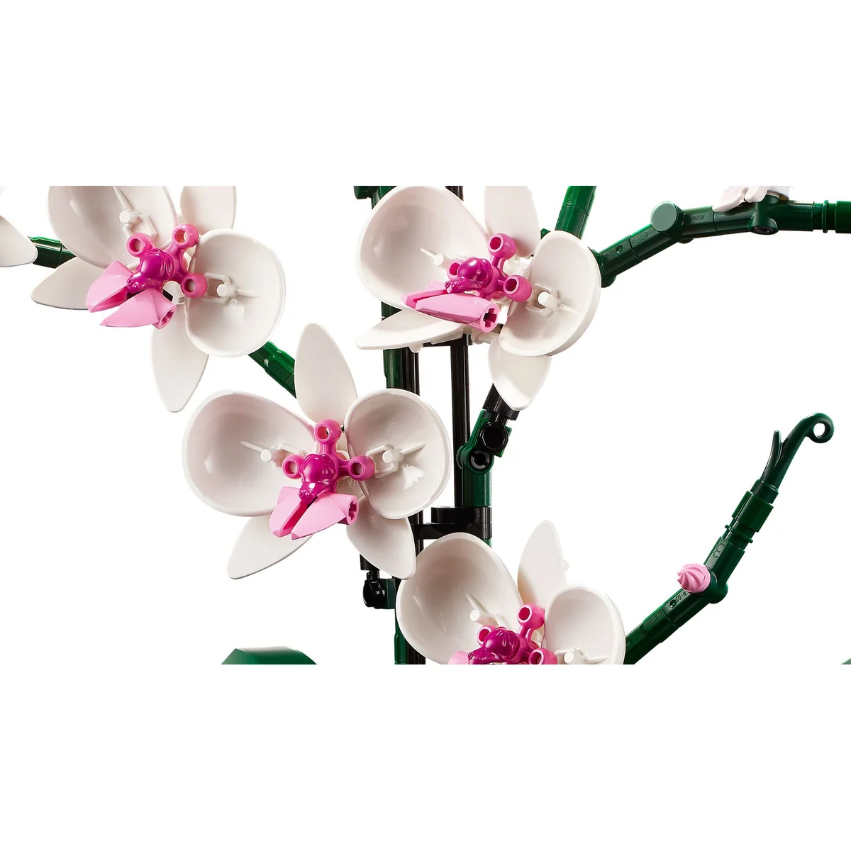 LEGO® Botanicals™ 10311 Orchidea, zdjęcie 4