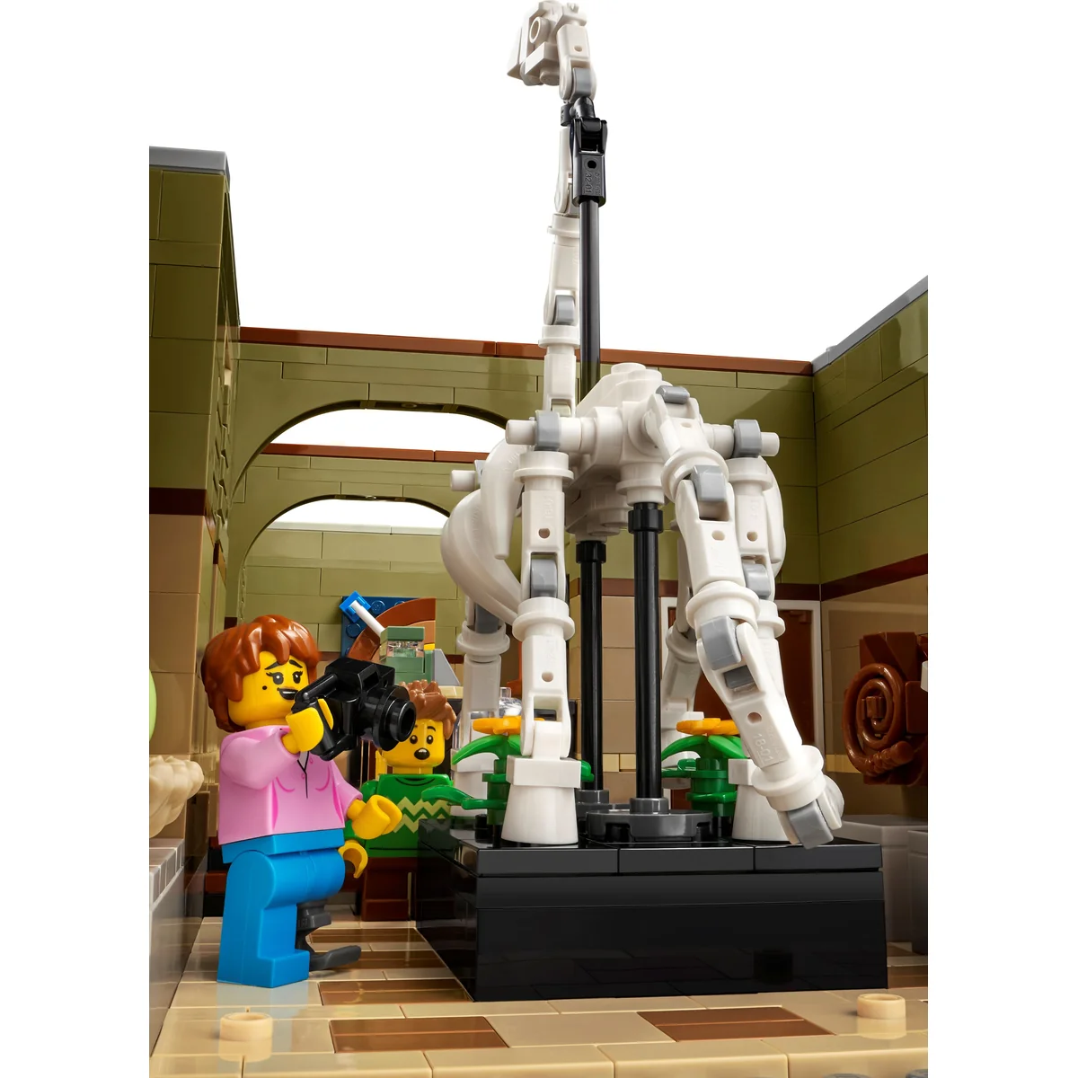 LEGO® Icons™ 10326 Muzeum Historii Naturalnej, zdjęcie 5