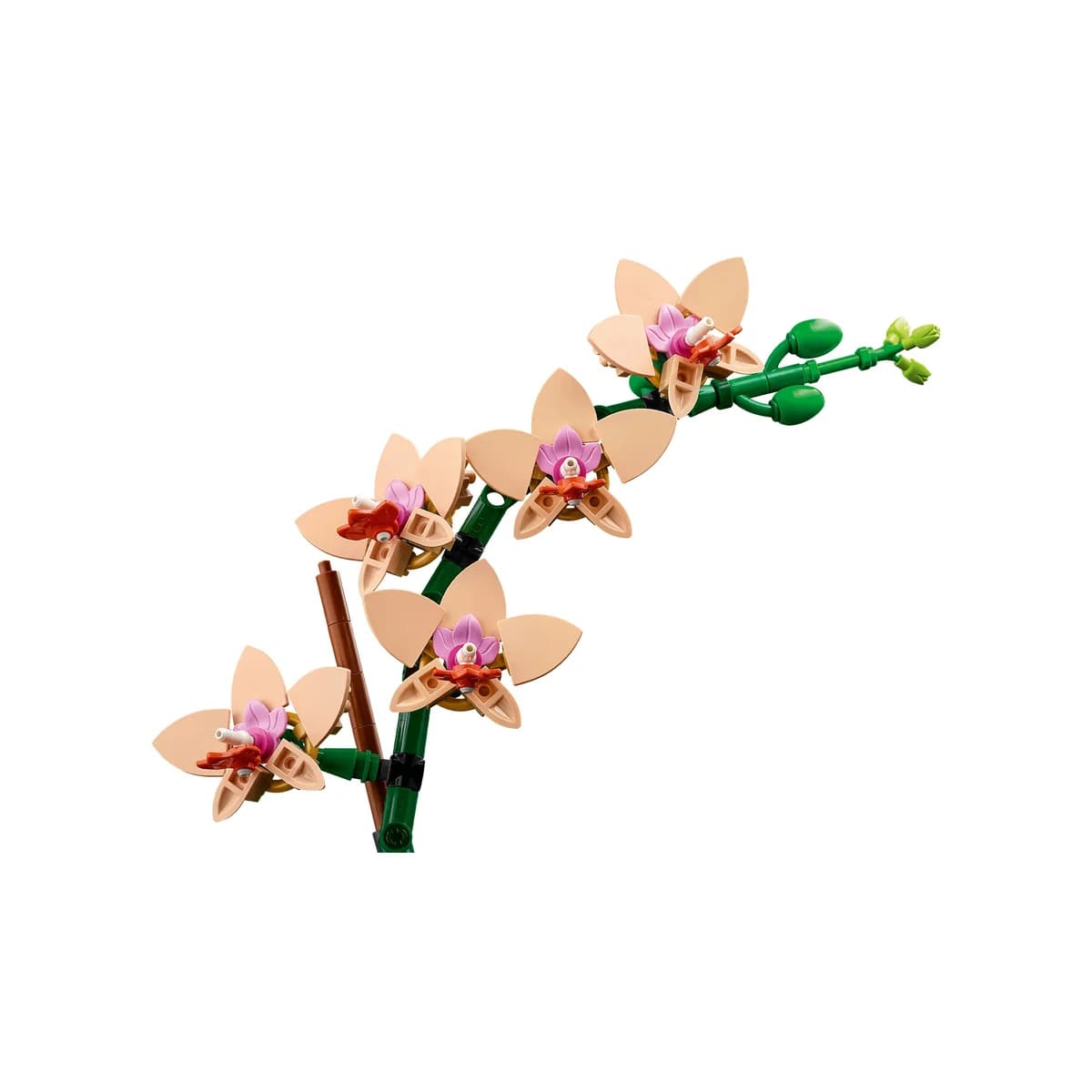 LEGO® Botanicals™ 10343 Mała Orchidea, zdjęcie 3