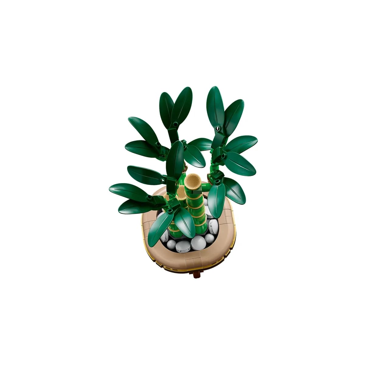 LEGO® Botanicals™ 10344 Dracena Sandera, zdjęcie 3