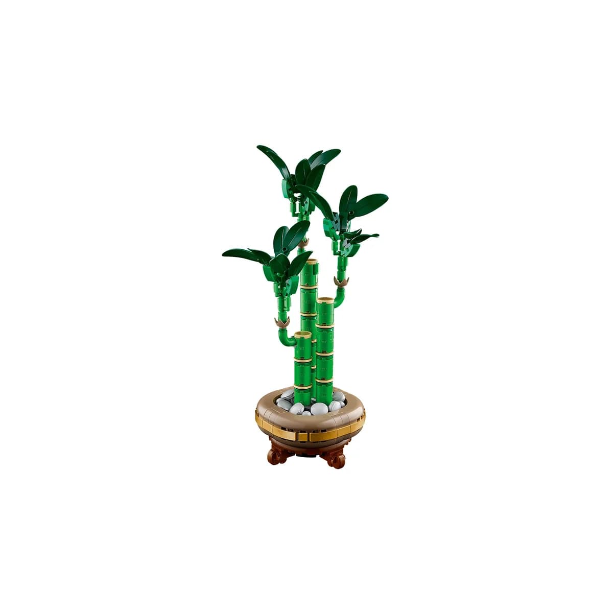 LEGO® Botanicals™ 10344 Dracena Sandera, zdjęcie 4