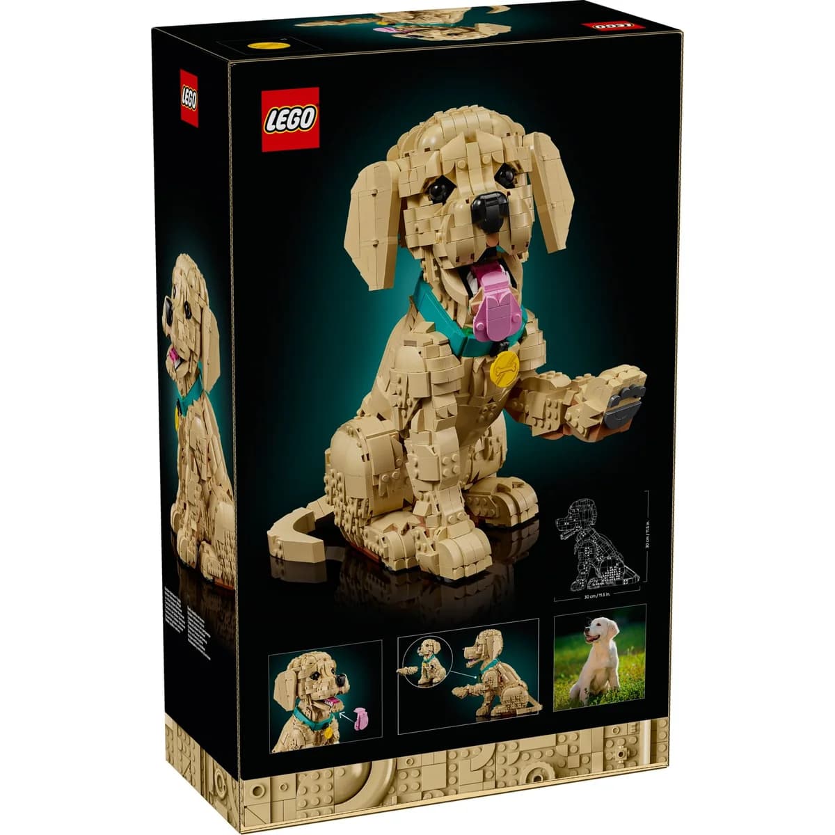 LEGO® Icons™ 11384 Szczeniak golden retriever, zdjęcie 2