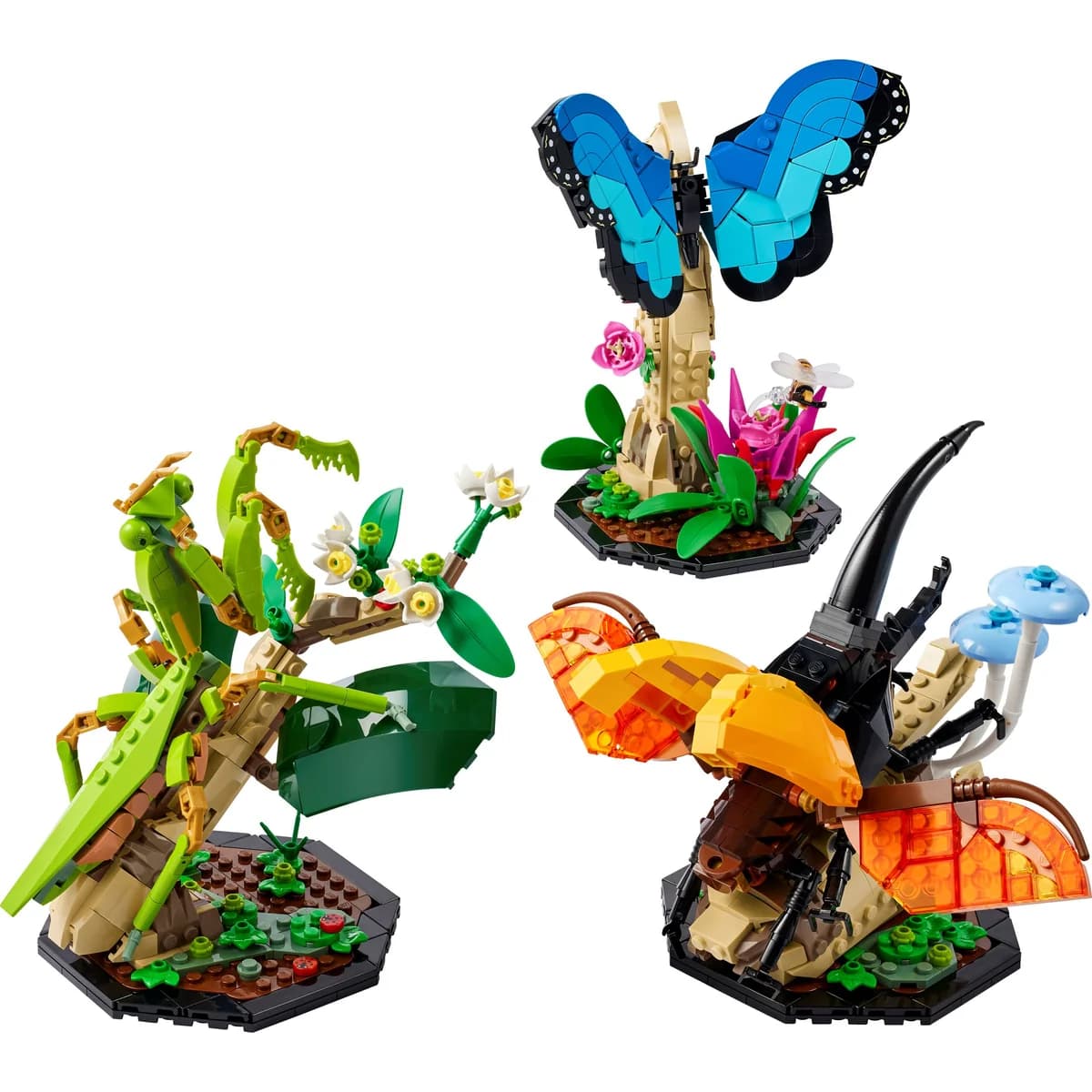 LEGO® Ideas™ 21342 Kolekcja Owadów