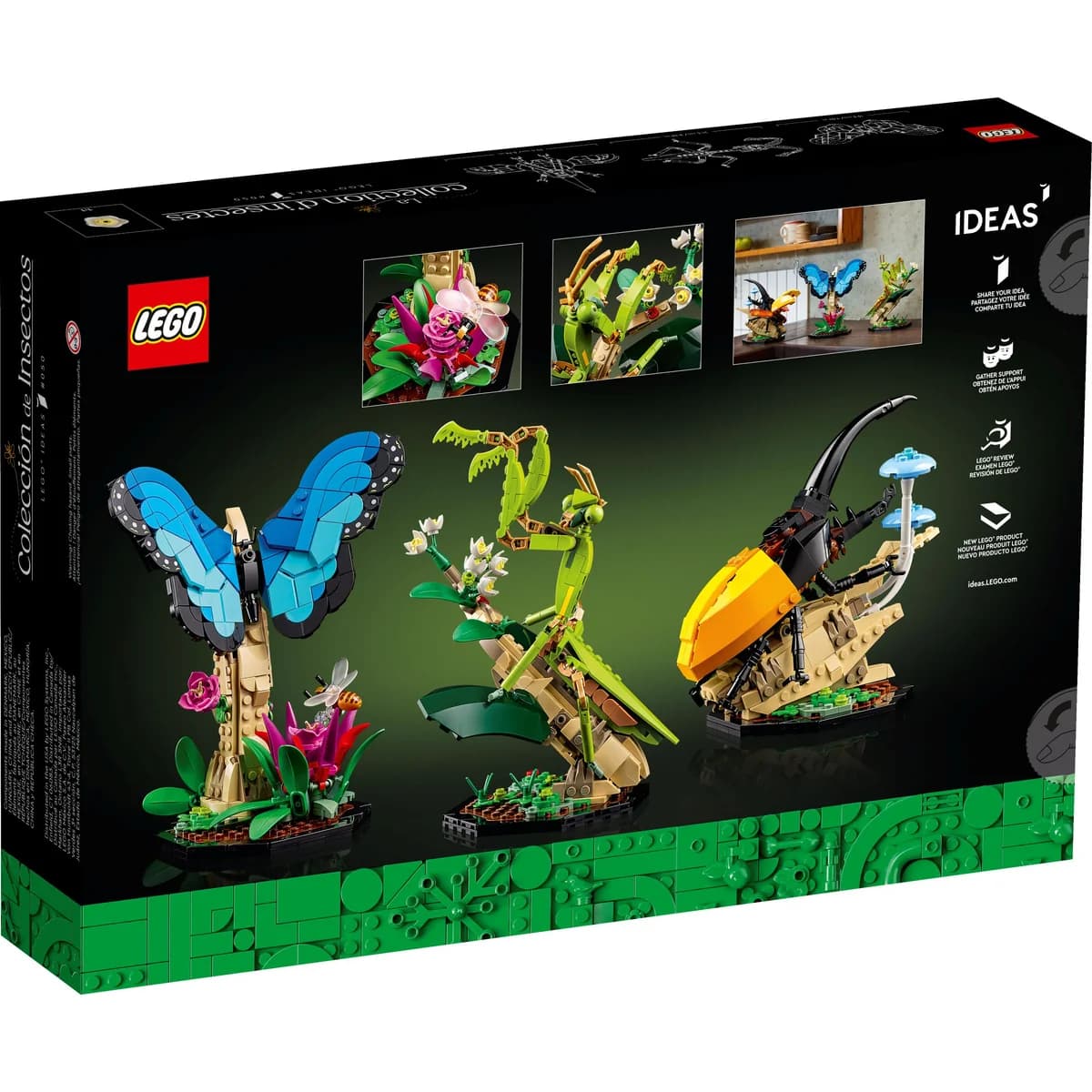 LEGO® Ideas™ 21342 Kolekcja Owadów, zdjęcie 2