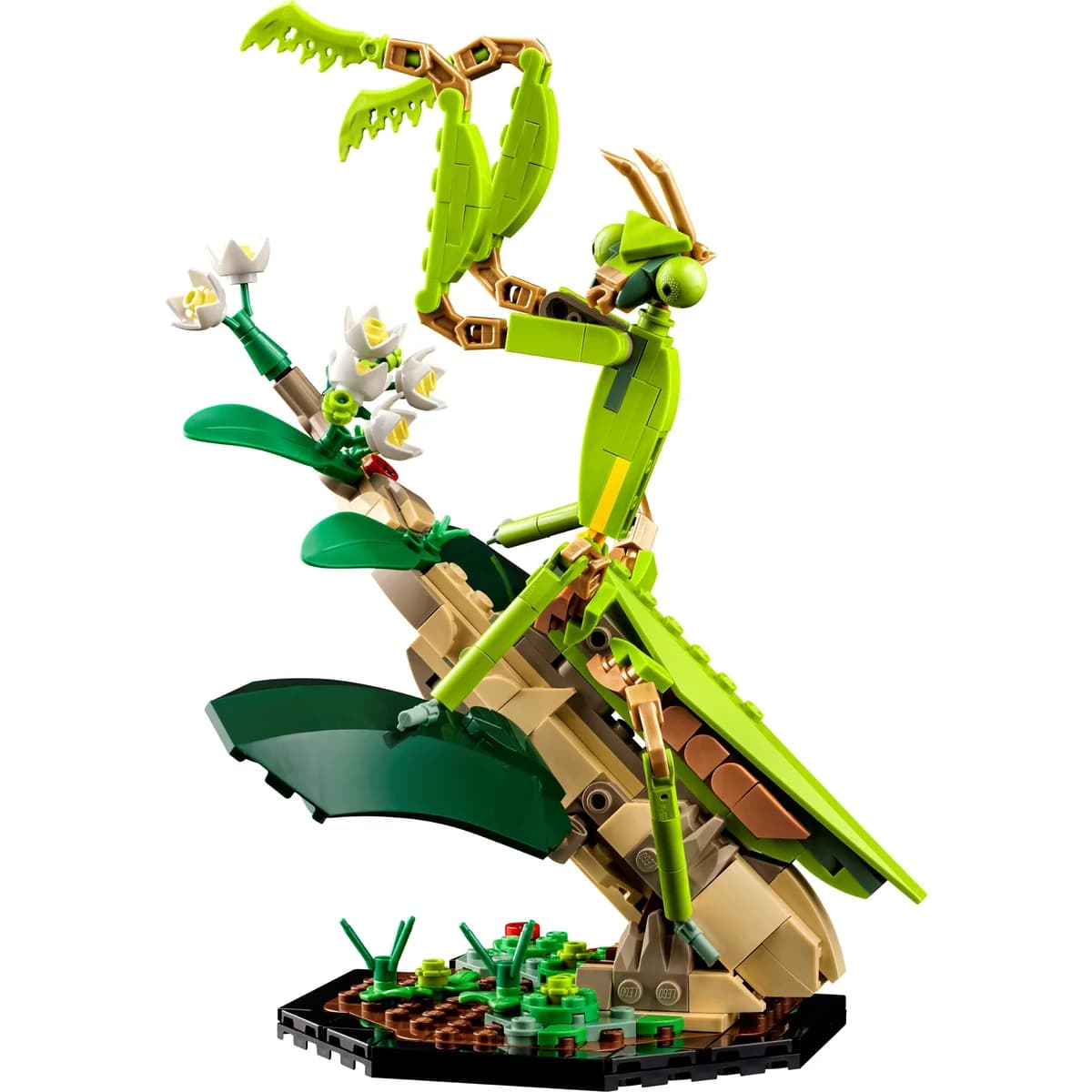 LEGO® Ideas™ 21342 Kolekcja Owadów, zdjęcie 4
