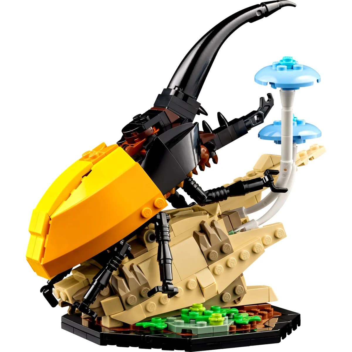 LEGO® Ideas™ 21342 Kolekcja Owadów, zdjęcie 5