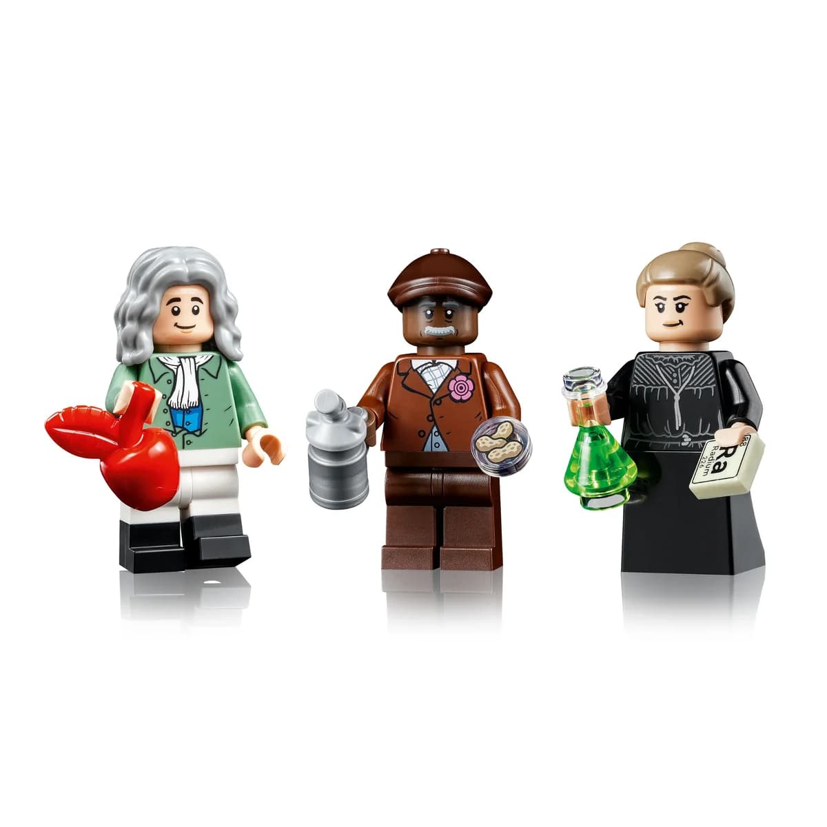 LEGO® Ideas™ 21355 Ewolucja przedmiotów ścisłych, zdjęcie 3