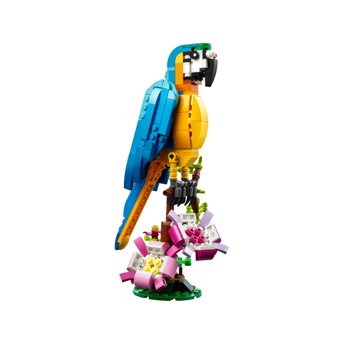 LEGO® Creator 3w1™ 31136 Egzotyczna Papuga