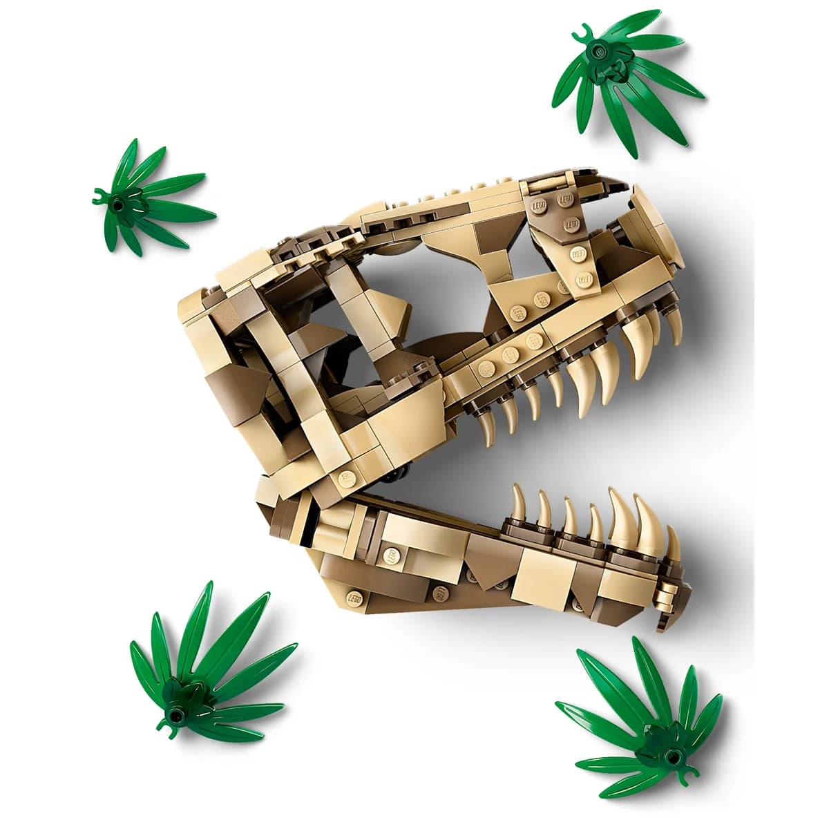 LEGO® Jurassic World™ 76964 Szkielety Dinozaurów — Czaszka Tyranozaura, zdjęcie 3