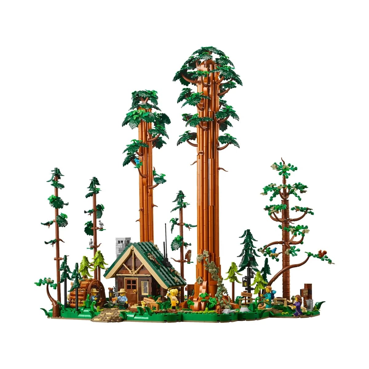 LEGO® BrickLink Designer™ 910058 Szlak Sekwojowy