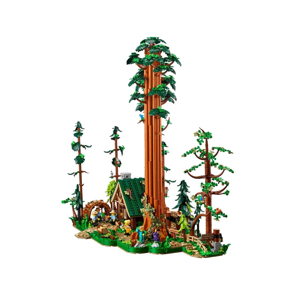 LEGO® BrickLink Designer™ 910058 Szlak Sekwojowy, zdjęcie 4