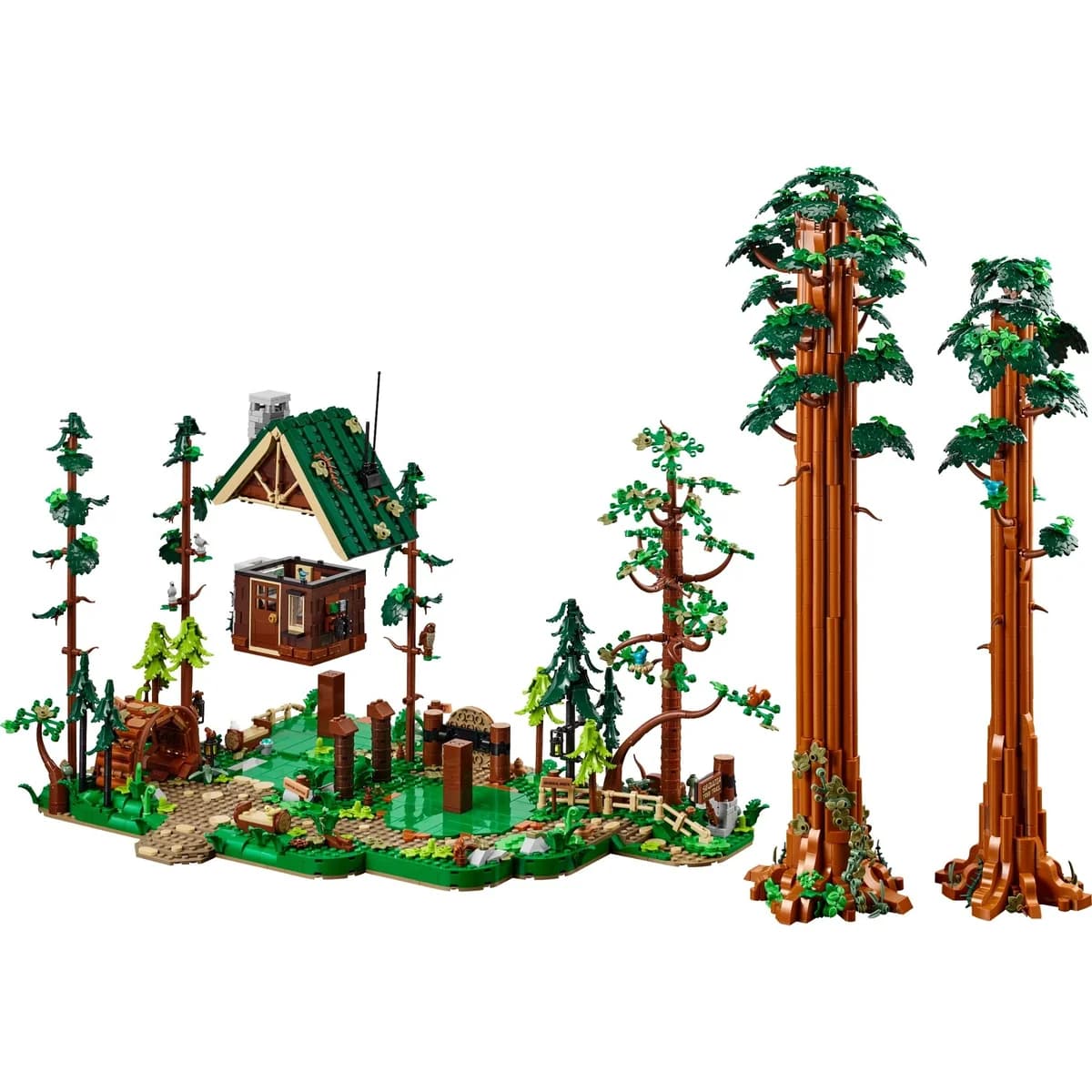 LEGO® BrickLink Designer™ 910058 Szlak Sekwojowy, zdjęcie 5